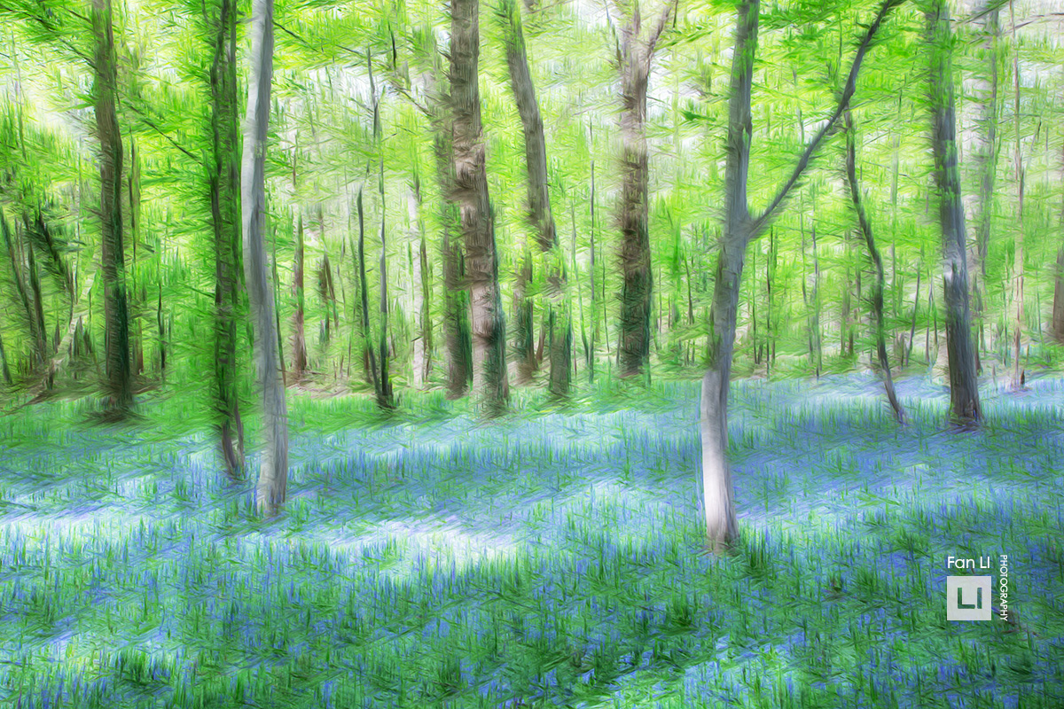 Printemps en bleu